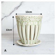Load image into Gallery viewer, Leia Orchid Flowerpot with Tray (Series 1)
