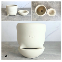 Load image into Gallery viewer, The Leaferie Yunae ceramic pot with tray
