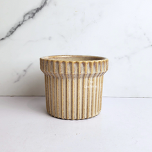 Load image into Gallery viewer, The Leaferie Willow beige flowerpot. ceramic material
