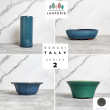 Load image into Gallery viewer, Tally Bonsai Flowerpot (Series 2)
