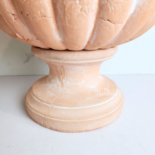 Load image into Gallery viewer, The Leaferie Yulia big terracotta pot.

