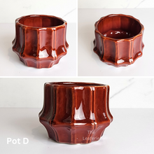 Load image into Gallery viewer, The Leaferie Mini Pots (Series 10). 9 designs.Design D
