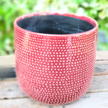 Load image into Gallery viewer, Carmel Flowerpot
