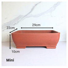 Load image into Gallery viewer, Bonsai Rectangular (Series 2)
