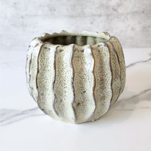 Load image into Gallery viewer, Haruka Flowerpot
