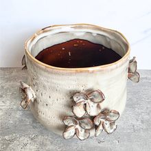 Load image into Gallery viewer, A handmade ceramic planter pot with a textured, speckled off-white glaze and raised flower motifs on the front and sides, filled with dark brown soil, set against a neutral gray and white background.
