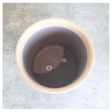 Load image into Gallery viewer, Eleene Flowerpot
