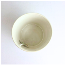 Load image into Gallery viewer, An off-white ceramic planter with a textured geometric leaf pattern, shown against a white marble background. The brand name 'LEAFERIE' is visible at the top, and the product name 'Oriva' is displayed at the bottom left.
