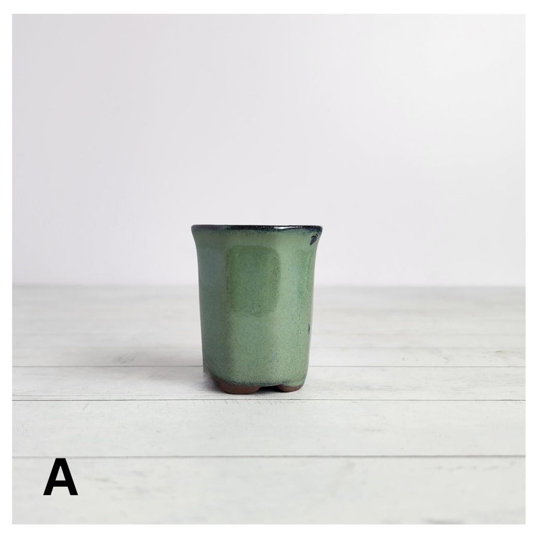 Petit Bonsai Pot (Series 7)