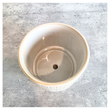 Load image into Gallery viewer, Toby white pot with gold patterns on a gray surface, featuring the Leaferie brand.
