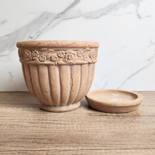 Load image into Gallery viewer, The Leaferie Philomel terracotta pot with tray.
