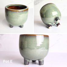 Load image into Gallery viewer, The Leaferie Mini Pots (Series 10). 9 designs.Design  E
