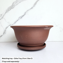 Load image into Gallery viewer, The Leaferie Bonsai Series 52. 3 sizes, zisha pots.
