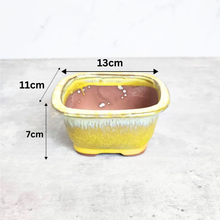 Load image into Gallery viewer, Bonsai Flowerpot (Series 24) Rectangular

