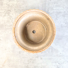 Load image into Gallery viewer, Willy Flowerpot
