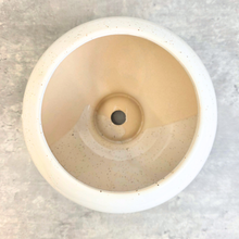 Load image into Gallery viewer, Odette Flowerpot
