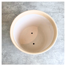 Load image into Gallery viewer, Aurelia Decorative pot with leaf pattern on a marble surface, featuring the brand 'LEAFAERIE'.
