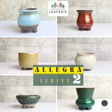 Load image into Gallery viewer, Petit Allegra Flowerpots (Series 2)

