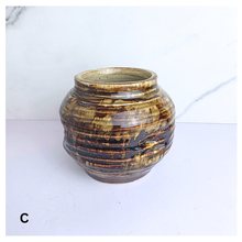 Load image into Gallery viewer, Dune Four ceramic pot with &#39;Dune&#39; design and &#39;LEAFeERIE&#39; branding on a white background.
