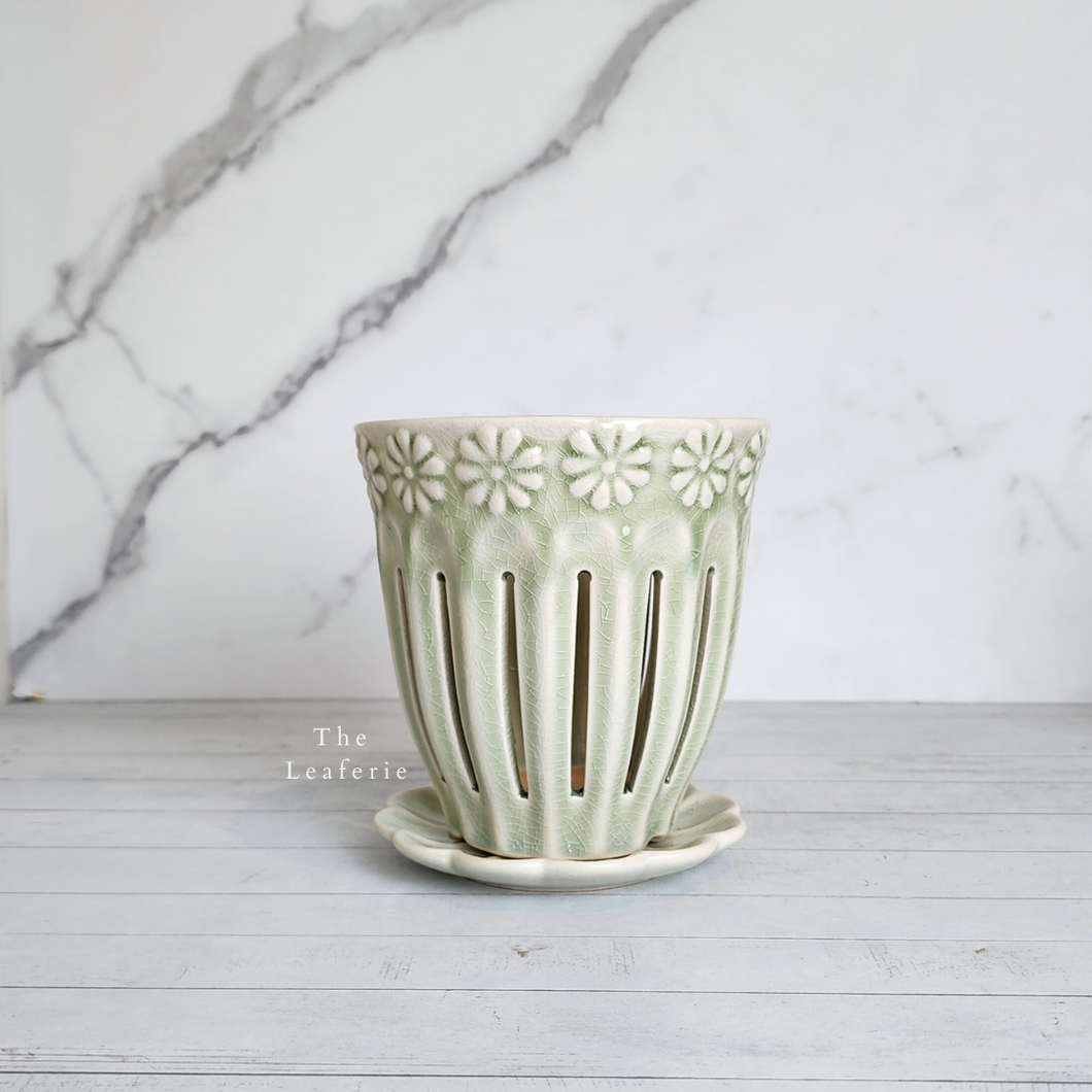 The Leaferie Leia orchid pot. comes in 2 colours and matching tray. ceramic material. Green colour