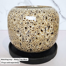 Load image into Gallery viewer, The Leaferie Brooke flowerpot. ceramic material . black and beige colour
