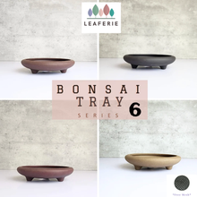 Load image into Gallery viewer, Bonsai Tray / Flowerpot (Series 6)
