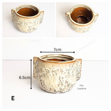 Load image into Gallery viewer, Petit Flowerpots (Series 19)
