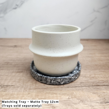 Load image into Gallery viewer, The Leaferie Tane white ceramic pot. 
