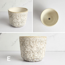 Load image into Gallery viewer, The Leaferie Mini Pots Series 6 . 12 mini pot designs . ceramic small planter. View of design E
