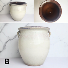 Load image into Gallery viewer, The Leaferie Anya Big pot ($ designs ceramic material
