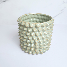 Load image into Gallery viewer, The Leaferie Kyllo spike ceramic flowerpot.
