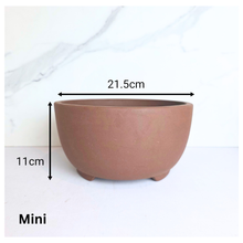 Load image into Gallery viewer, Reimi Bonsai Flowerpot (Series 5)
