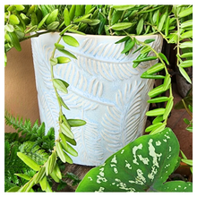 Load image into Gallery viewer, Eilish Flowerpot
