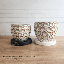 Load image into Gallery viewer, The Leaferie Sen Flowerpot . 2 sizes beige ceramic pot.
