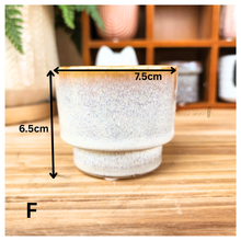 Load image into Gallery viewer, Petit Flowerpots (Series 5)
