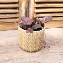 Load image into Gallery viewer, Pace Flowerpot

