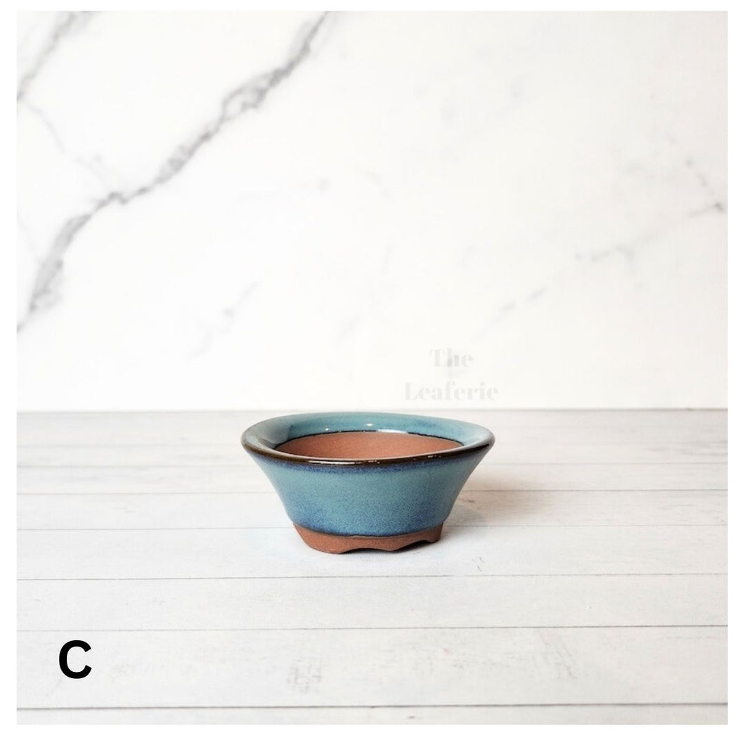 Petit Bonsai Pot (Series 12)