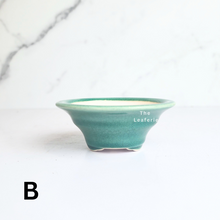 Load image into Gallery viewer, Petit Bonsai Flowerpot (Series 48)
