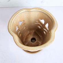 Load image into Gallery viewer, The Leaferie Layla Orchid pot with tray. 2 colours ceramic pot
