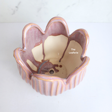 Load image into Gallery viewer, The Leaferie Castillo ceramic pot. 2 colours pink and white.
