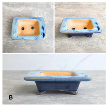 Load image into Gallery viewer, Petit bonsai pots 98 (rectangular) flowerpot with 'LEAFERIE' brand
