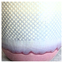 Load image into Gallery viewer, The Leaferie Harlan flowerpot. ceramic material. red base
