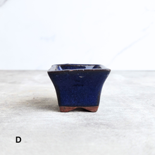 Load image into Gallery viewer, Blue ceramic pot on a white surface with &#39;The Leafory&#39; branding.
