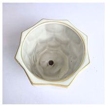 Load image into Gallery viewer, Dove White ceramic planter with gold accents on a light gray background, featuring the Leaferie brand.
