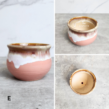 Load image into Gallery viewer, The Leaferie Petit Allegra Series 3 . 5 designs Pink pots
