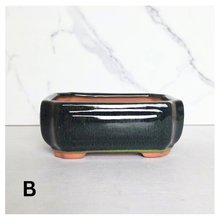Load image into Gallery viewer, Bonsai Flowerpot (Series 22) Rectangular
