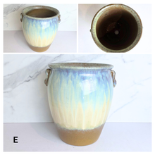 Load image into Gallery viewer, Anya Big Flowerpot (4 Designs)
