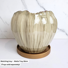 Load image into Gallery viewer, The Leaferie Maple Big beige flowerpot. ceramic material
