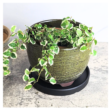Load image into Gallery viewer, Pagona Flowerpot
