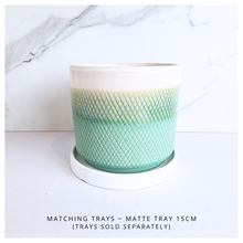 Load image into Gallery viewer, Mistra Teal textured  in a pot with &#39;LEAFAERIE&#39; branding on a white background
